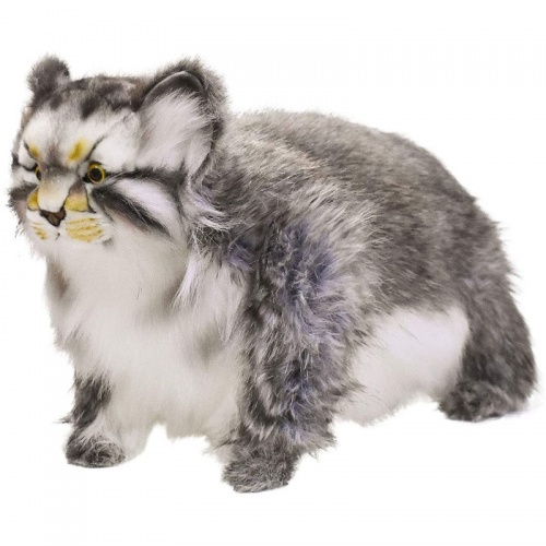 Pallas Cat Plush Soft Toy by Hansa